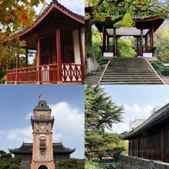 ZHUA FAN YU JIAN NANG KEN ROU User Photo