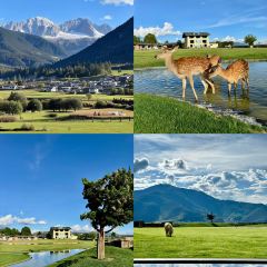 Dormito Cafe User Photo