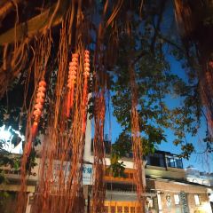 申记臭豆腐煮鱼(五一步行街店) User Photo