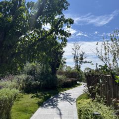 云孚里云宿.西湖云岛·餐厅 User Photo