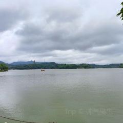 GOLD HOMELAND User Photo