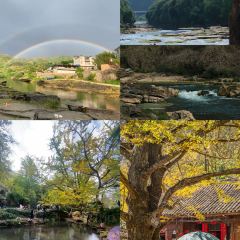 Liu Guang Men Mao Auntie Nuo Rice User Photo
