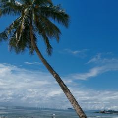 HUA NAN BAO User Photo