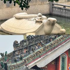 FengCheng ShuangPi Nai User Photo