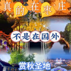 FENG CHINESE RESTAURANT User Photo