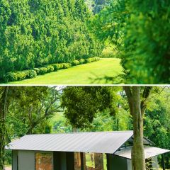 Cypress Lanes張用戶圖片