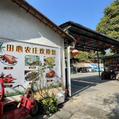 田心农庄·荔枝木烧鸡·农家河鲜 User Photo