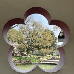 愛晚亭湖鮮食府張用戶圖片