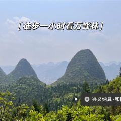 顶素小吃烫皮牛肉馆 User Photo
