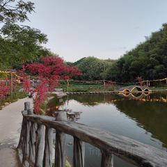 珍珠山民间菜 User Photo