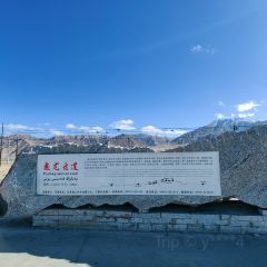 塔漂咖啡馆 User Photo