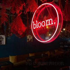 bloom by Mokmok User Photo