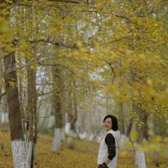 宝马生态农庄·柴火鸡(宝马店) User Photo