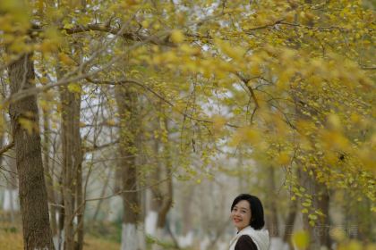 宝马生态农庄·柴火鸡(宝马店)