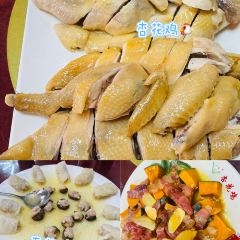 广远杏花鸡山庄 User Photo