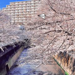 Kandagawa User Photo