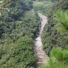 龙山餐厅 User Photo