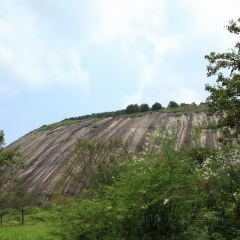 龙山餐厅 User Photo