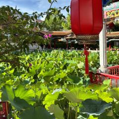 敖家花园 User Photo