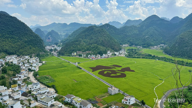 Wanfenglin Fuzi Field