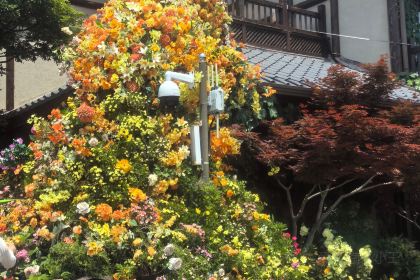 缘一閣·湖景本帮菜(灵山景区拈花湾店)