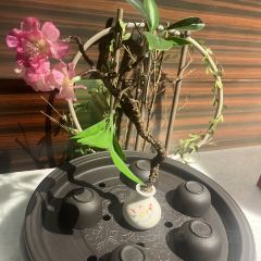 海口希尔顿酒店·御玺中餐厅 User Photo