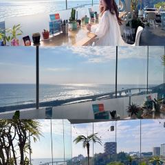 Sea Birds Cafe User Photo