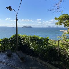 Dolphin ảnh của người dùng