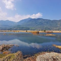 阿古吉缅甸茶餐厅 User Photo