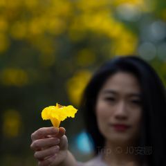 福州融僑皇冠假日飯店·美廚滙全日餐廳張用戶圖片