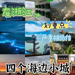 觅野仙踪·海东方VILLA海景度假美宿(舟山鹿栏晴沙店)·My forest cafe User Photo