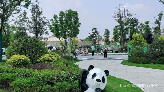 bei chuan da xiong mao dong zhi wu yuan