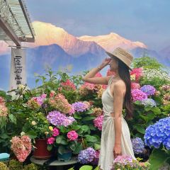 屋頂咖啡·日落甜茶·雪山花園 ·bistro張用戶圖片