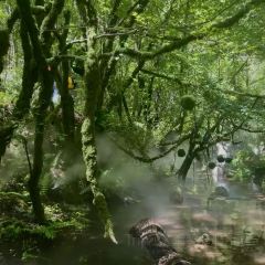 华林水席村(九都东路店) User Photo