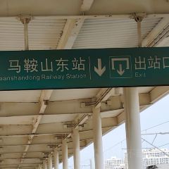 花鳥市場大肉餅張用戶圖片