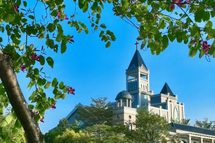 XING JI SUGAR CANE ICE