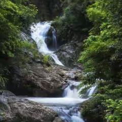 鸽皇餐厅·16年老字号·专业做鸽(东城店) User Photo