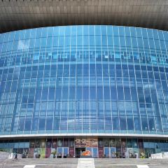 ZHENG XI WANG User Photo