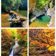 Number One User Photo