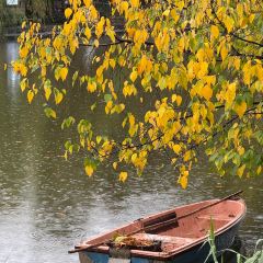 CHEN NIANG NIANG User Photo