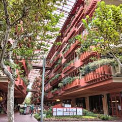 CAMINETTO User Photo