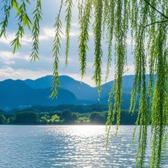 老常德钵子菜馆(河街店) User Photo