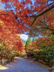 白野江植物公園