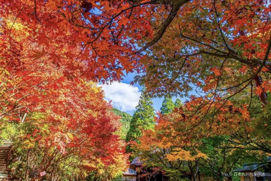 Shiranoe Botanical Garden