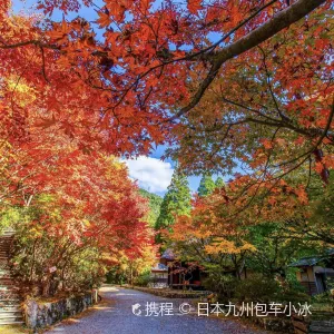 白野江植物公園