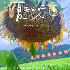 点将台庄园火锅 User Photo