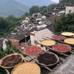 FU CHUN ZHU JIAO GUAN User Photo