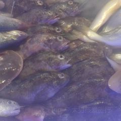 SEA STORY User Photo