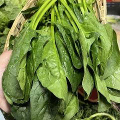 青城高原牦牛汤·川西特色火锅(总店) 여행 사진