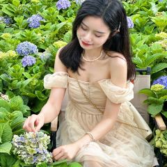 海如的花園張用戶圖片